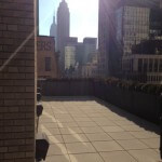 609 Fifth Avenue - Terrace Views