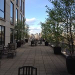 660 Madison Avenue - Extra Large Terrace